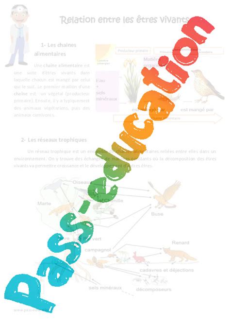 Relation entre les êtres vivants Cm1 Cm2 Exercices Pass Education