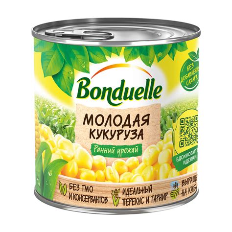 Купить кукуруза bonduelle молодая 340г с доставкой на дом в магазине SPAR