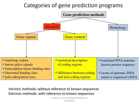 Ppt Gene Finding And Sequence Annotation Powerpoint Presentation Id