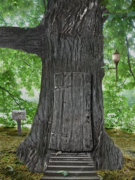 Treehouse Door Illustration Stock Image C027 8416 Science Photo