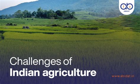 Blog - Challenges of Indian Agriculture | ABIDAT