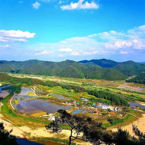 회룡포 마을 전경이 보이는 예천 회룡포 전망대 트립닷컴 예천