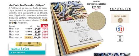 Promo Bloc Pastel Card Sennelier Chez Le G Ant Des Beaux Arts