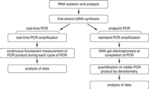 31 Comparison Of Endpoint Rt Pcr And Real Time Rt Pcr Both