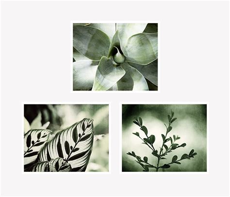 Green Nature Photography Wall Art Grouping – Carolyn Cochrane Photography