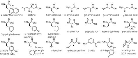 Unnatural Amino Acids CPC Scientific