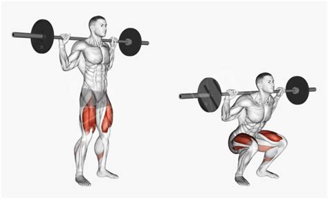 Front Squat Vs Back Squat Which Builds Stronger Legs Core Fitness