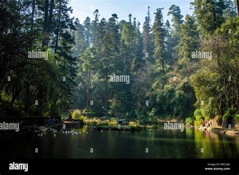 Top Imagen Rio Desierto De Los Leones Abzlocal Mx