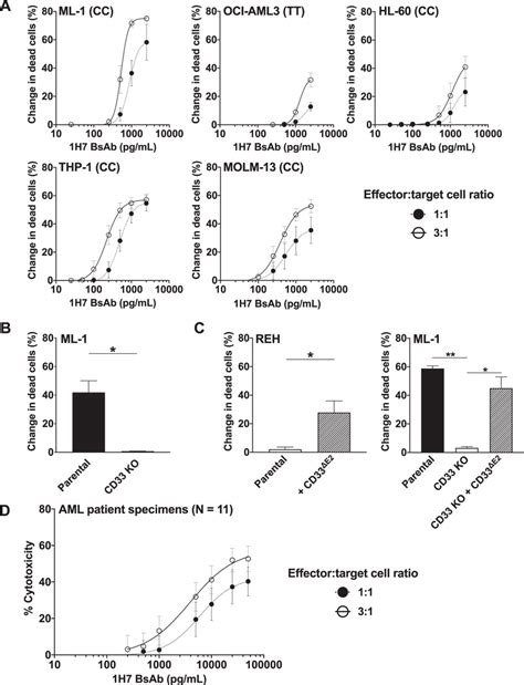 A Murine CD33PAN CD3 BsAb Redirects T Cell Mediated Cytotoxicity