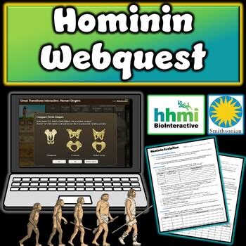 Hominin Evolution Human Evolution Interactive Webquest Activity