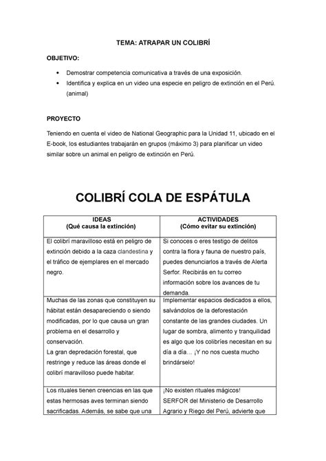 Proyecto Traducci N Trabajo Tema Atrapar Un Colibr Objetivo