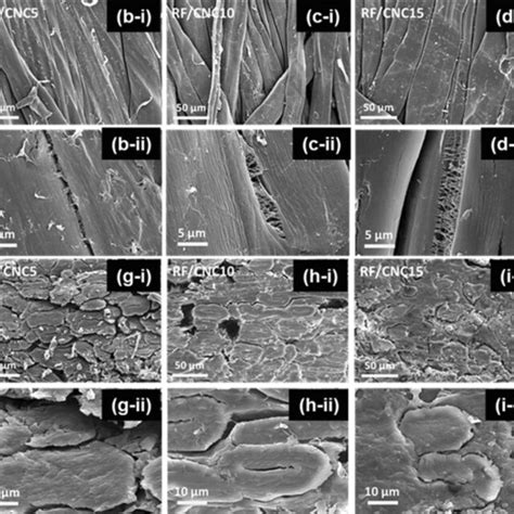 Ae Surface And Fj Cross Sectional Fe Sem Images Of Rf Cnc Nonwoven