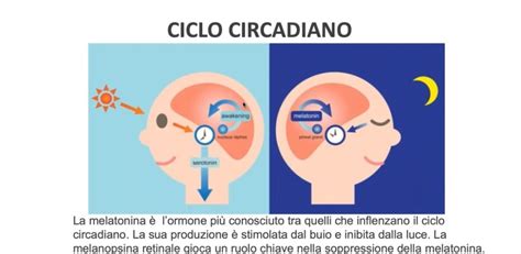 Illuminazione Circadiana La Luce Per Il Benessere Del Corpo