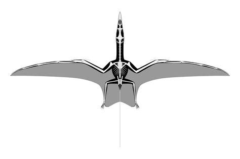 [Admin approved] We're bringing scientifically accurate dinosaurs to D