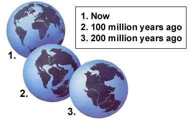 Evidence for Theory 3 - Dinosaur extinction theories