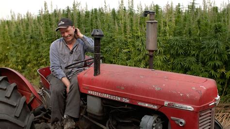 Hemp Farming