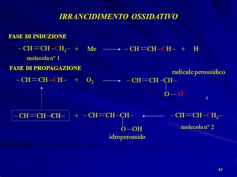 Acidi Grassi Trans E Acidi Grassi Idrogenati Parliamone