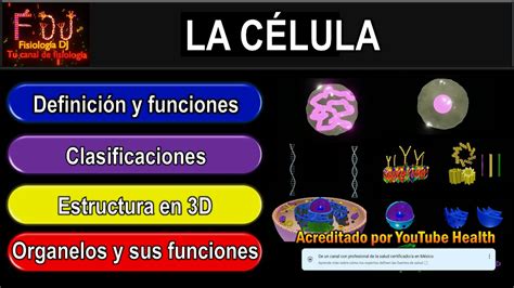 La CÉlula La Célula Y Sus Partes ¿que Es La Célula ¿que Es La Célula Estructura Y