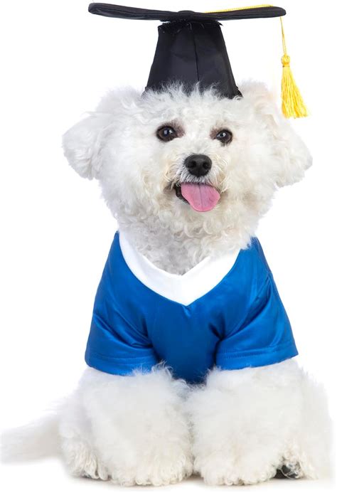 Impoosy Dog Graduation Costume And Pet Graduation Hats