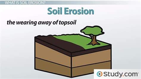 Soil Erosion Definition Causes Types Lesson Study