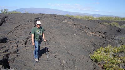 Contos de Paco Encontros a Vida Selvagem Galápagos Ilhas