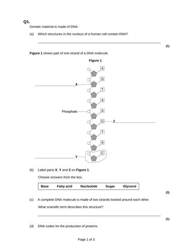 Aqa Gcse Biology Lesson 2 Structure Of Dna Bio Only Inheritance