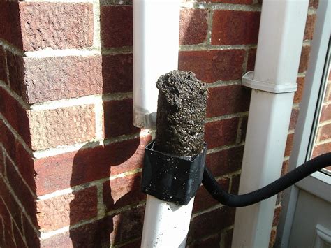 How To Unblock A Gutter Drain Pipe Best Drain Photos Primagem Org