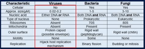 Week 5 Introduction To Virology Flashcards Quizlet