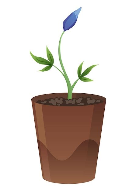 Premium Vector Flower Growth Stage In Brown Pot On White Background