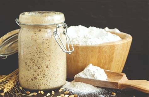 global bakers yeast market bbm magazine