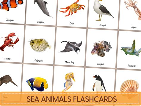 Sea Animals Flashcards, Ocean Animals, Montessori Flashcards Printable ...