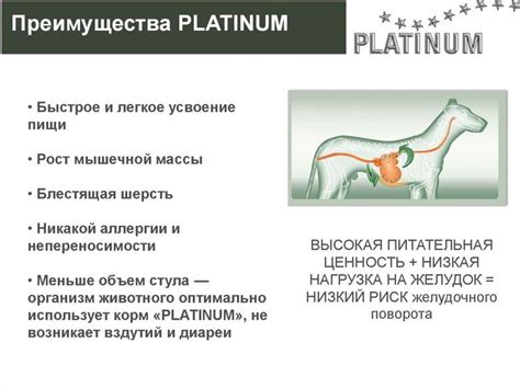 Платинум (Platinum) корм для собак: цена, отзывы, состав