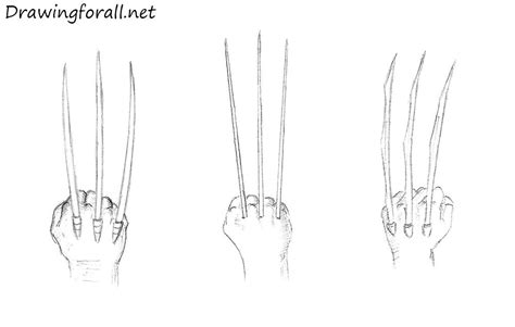 Wolverine Claws By Drawingforall How To