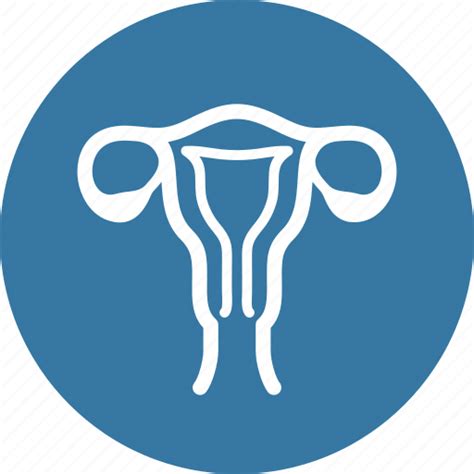 Female Reproductive System Png