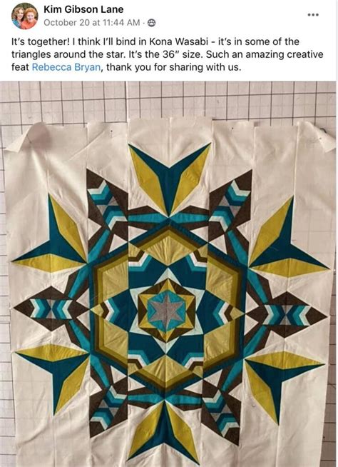 How To Quilt The Solstice Bom Hollyanne Knight Bryan House Quilts