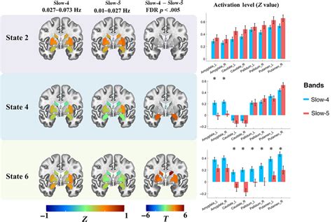 The Subcortical Activation Differences Between Slow‐4 And Slow‐5 Within