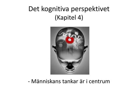 PPT Det Kognitiva Perspektivet Kapitel 4 PowerPoint Presentation