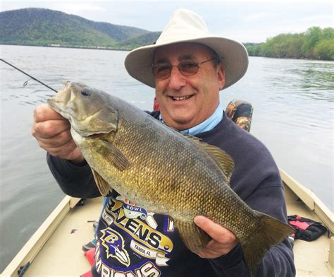 Fishing in SUSQUEHANNA RIVER: The Complete Guide