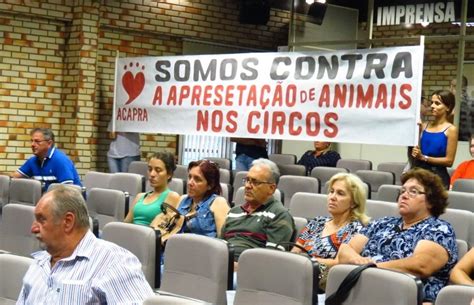 C Mara De Vereadores De Brusque Aprova Proibi O Do Uso De Animais Em Circo