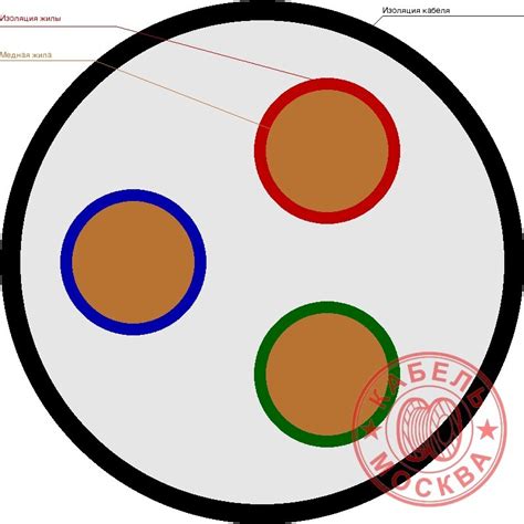 Сертификаты РПШ 3х10