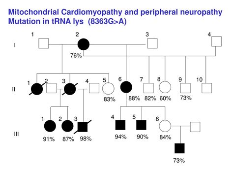 Ppt Genetics Of Mitochondrial Respiratory Chain Disorders Powerpoint Presentation Id4890326