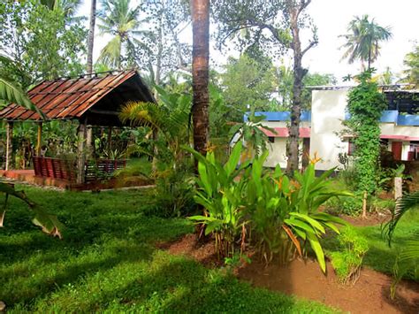 Ayurvedic Resorts in Kerala | Ayurvedic Healing in Kerala