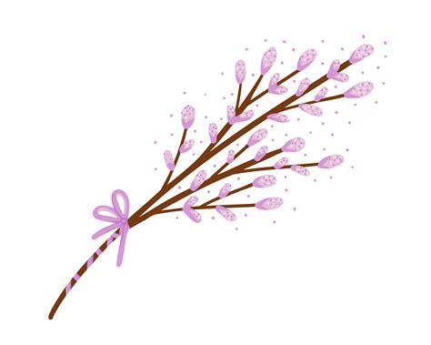 Pussy Willow Branch Easter Bouquet Blossom Pussy Willow Tree Illustration For Backgrounds