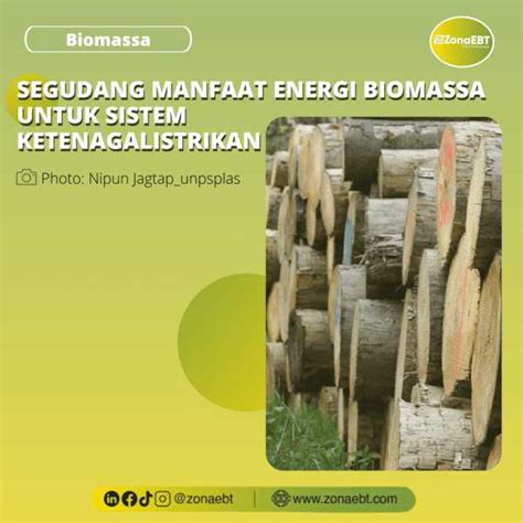 Segudang Manfaat Energi Biomassa Untuk Sistem Ketenagalistrikan