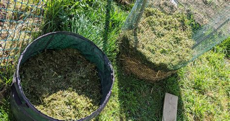 J Ai Test La Tour Pommes De Terre Voici La Technique Plantes Et