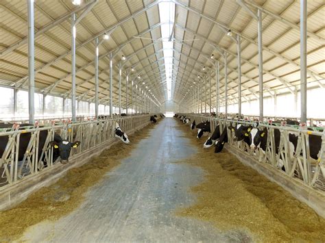 SOLUM AG - Novi član obitelji u Sano grupaciji | Sano Hrvatska