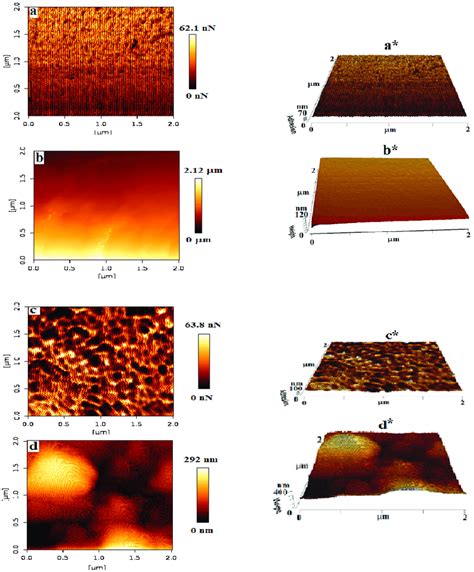 Atomic Force Microscopic Afm Image Of Chitosan A A D And D