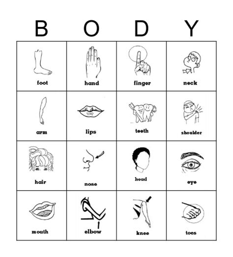 Body Parts Bingo Card