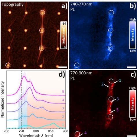 Heterogeneous Far Field Optical Properties A Afm Topography Of The