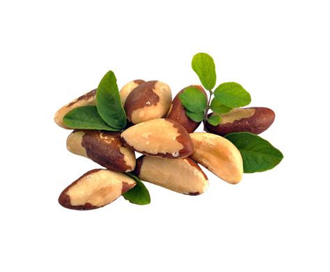 Brazil Nuts Png 29127903 PNG